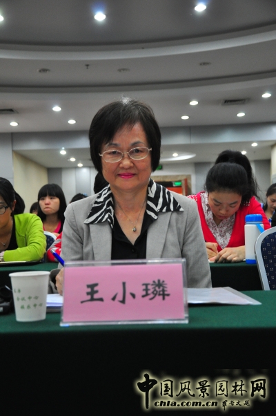 王小璘