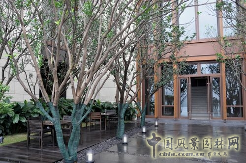 住宅景觀獎 園林工程 重慶星耀天地會所示范區