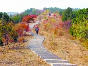西山國(guó)家森林公園 