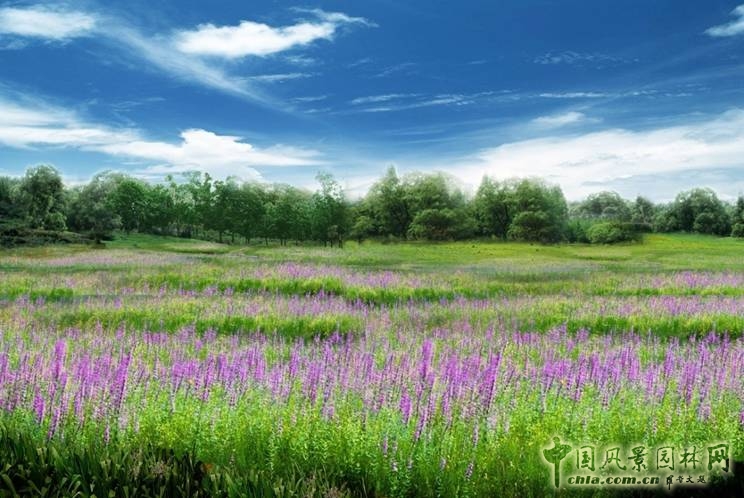 風(fēng)景園林闡釋自然觀的技藝