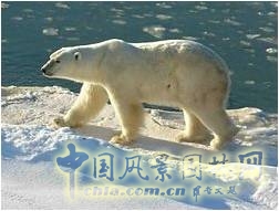 王曉璘 生態社區 城鄉改造 在地理論 環境保護