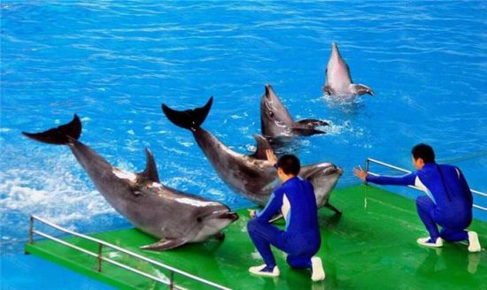 武漢海洋世界