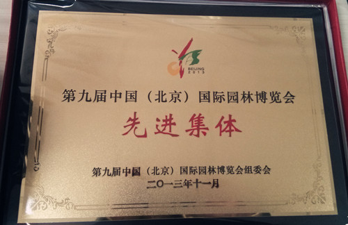 先進(jìn)集體