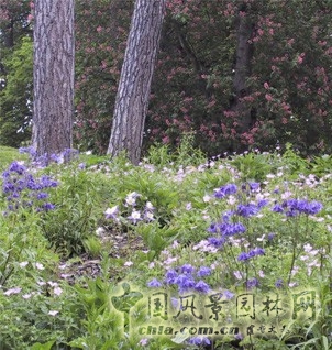 倫敦水晶公園