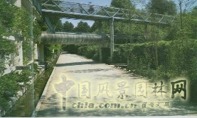 竹園