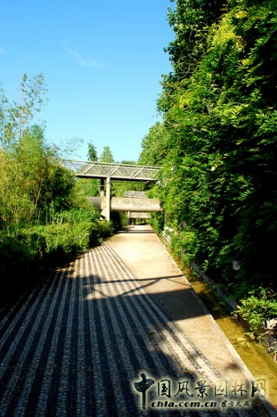 竹園