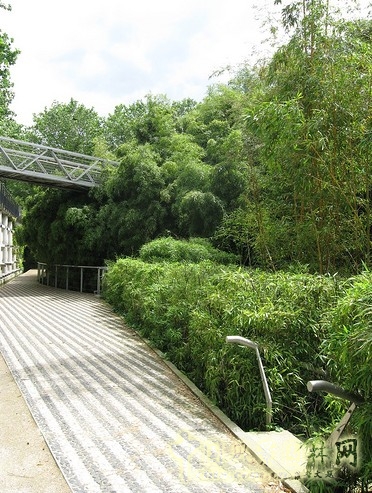 竹園