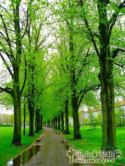 挪爾堡公園