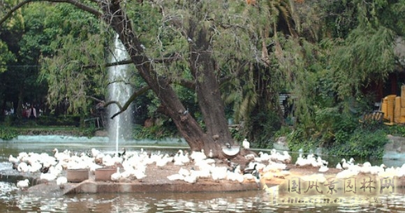 墨西哥公園