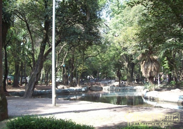 墨西哥公園