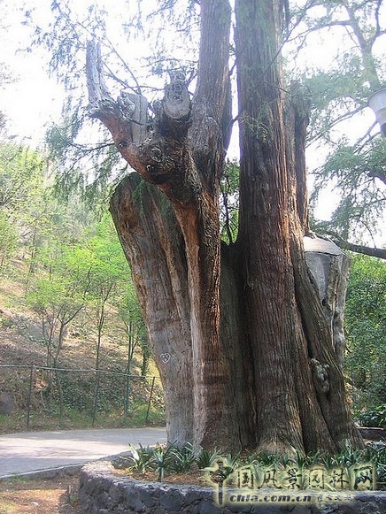查普特佩克