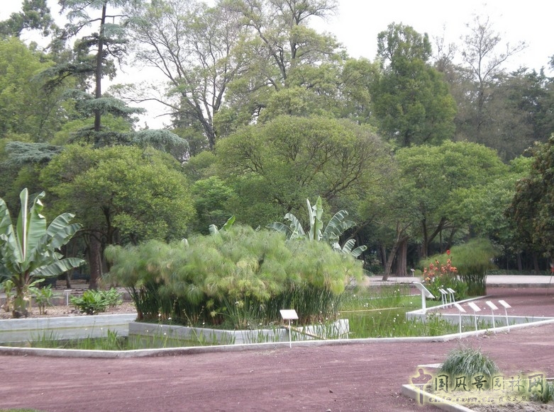 查普特佩克