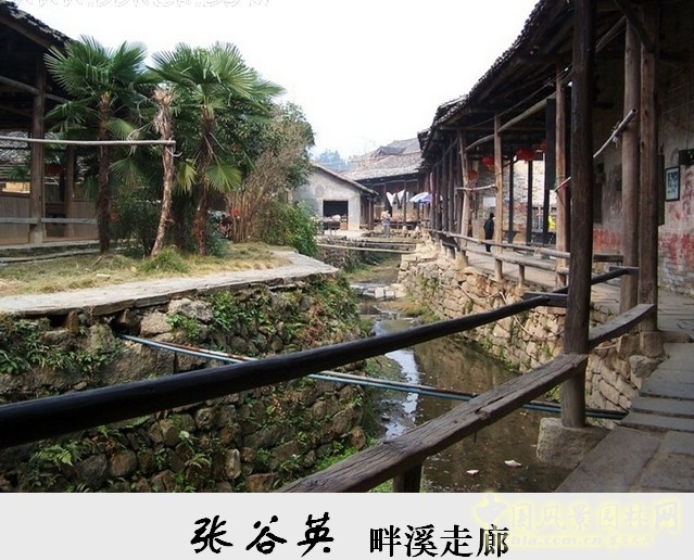 胡希軍 非物質(zhì)文化遺產(chǎn) 張谷英村 傳統(tǒng)禮俗