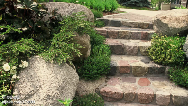 草本植物綠化