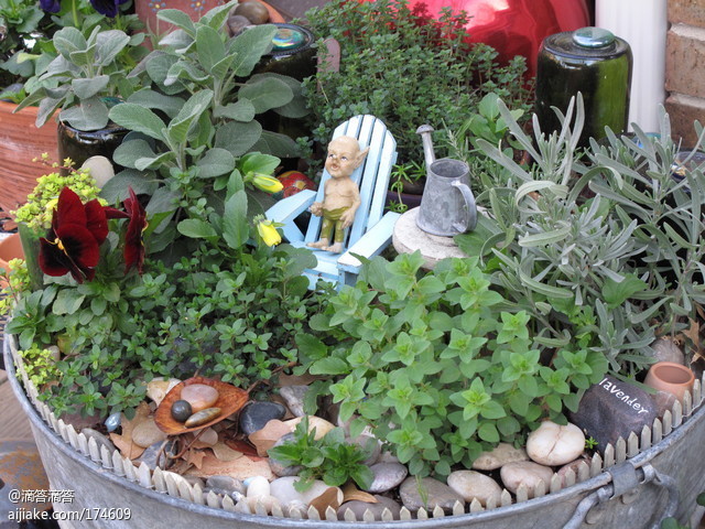 草本植物綠化