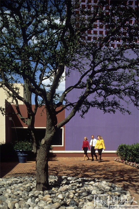 IBM
