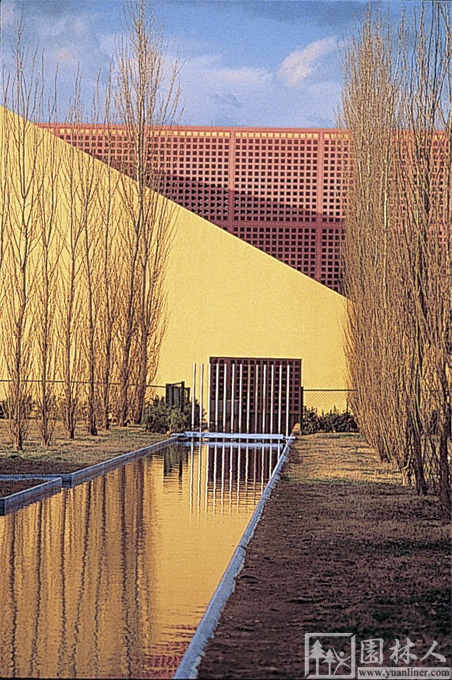 IBM