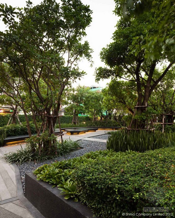 曼谷屋頂花園