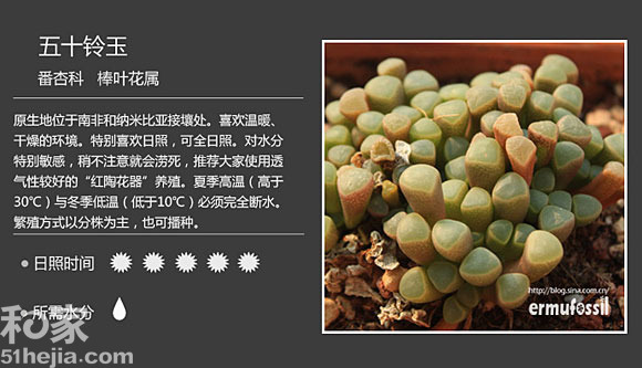 五十鈴玉