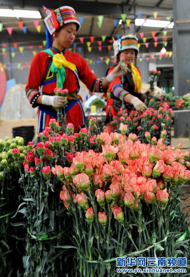 情人節(jié) 玫瑰價格 鮮花市場 元宵節(jié) 