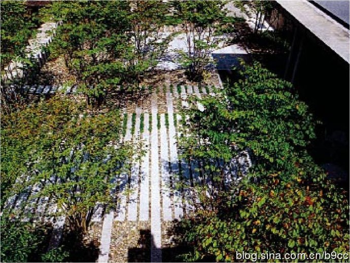 清里攝影美術(shù)館景觀設(shè)計(jì)