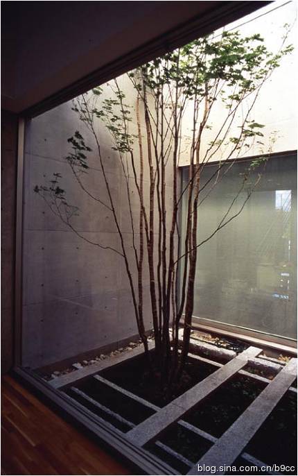 清里攝影美術(shù)館景觀設(shè)計(jì)