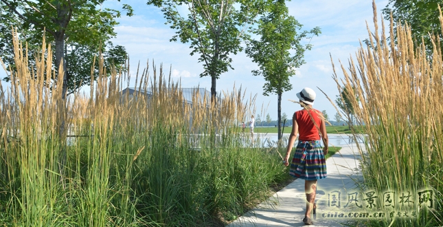 多倫多Sherbourne Common社區公園