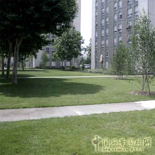 阿森納街區