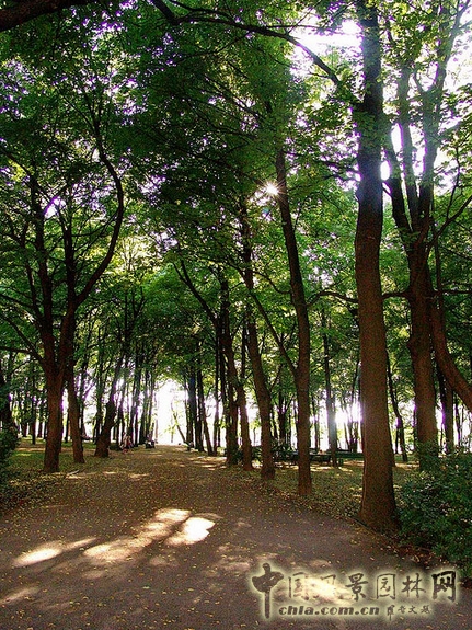 夏花園