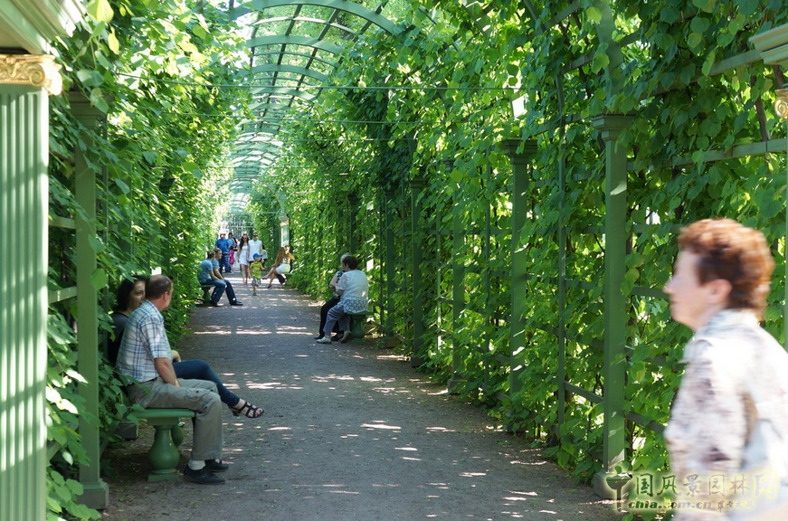 夏花園