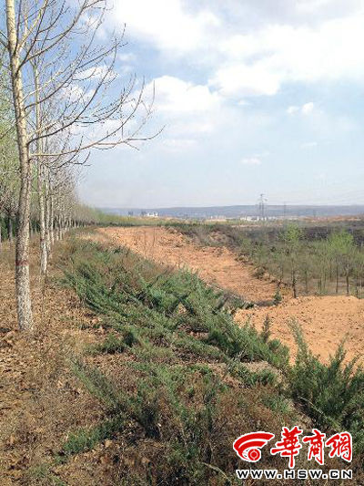 陜西榆林 環(huán)保局毀林 林地被毀 林業(yè)局
