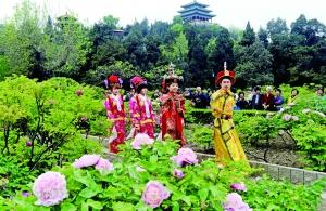 公園票價 五一票價 公園門票 牡丹節(jié)