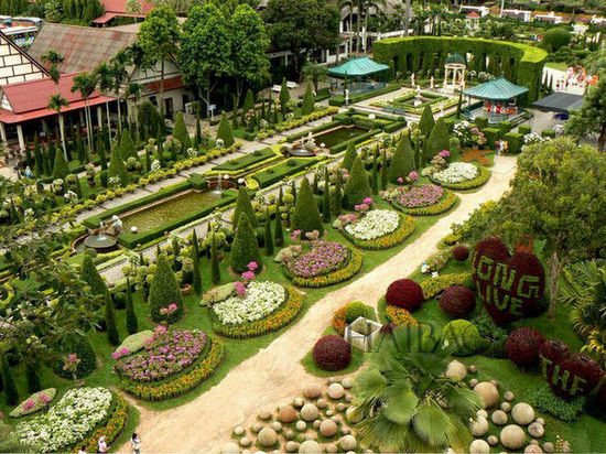 美麗花園 花園景觀