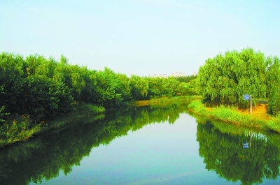 森林公園