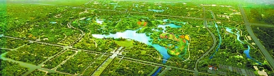 綠色鳥瞰