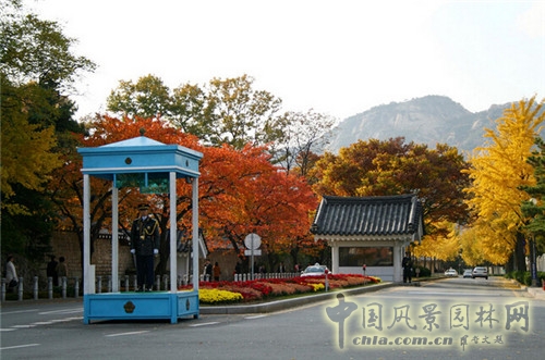青瓦臺(tái)