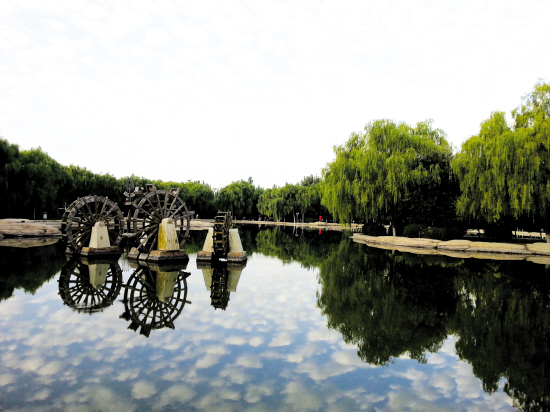 阿爾丁植物園