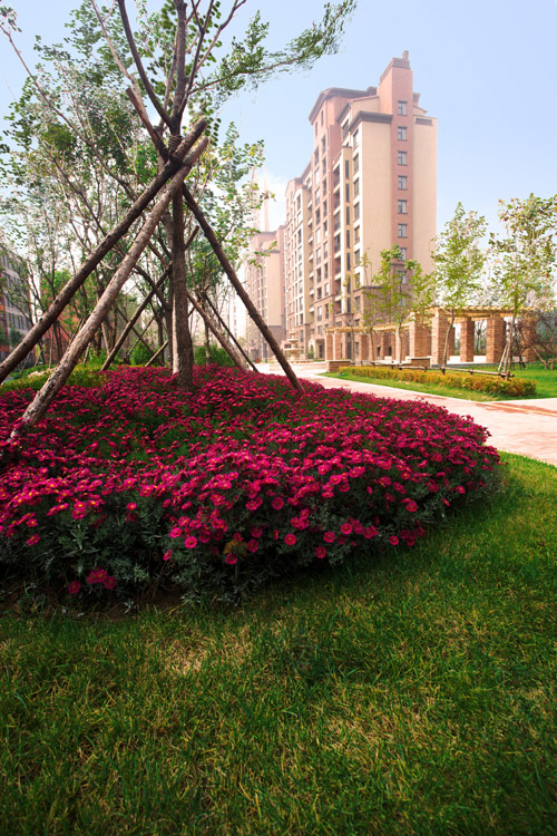 易德地景 魯旸 景觀設(shè)計(jì) 信達(dá)理想城