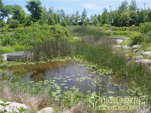Corktown Park