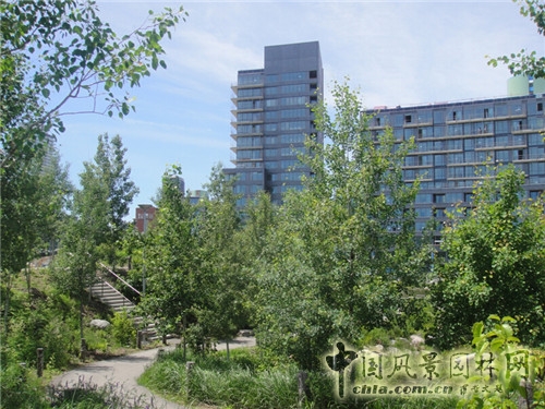 Corktown Park