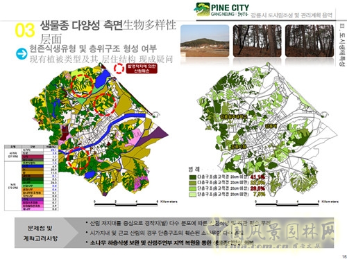 趙泰東：韓國江陵市城市林建設和管理計劃