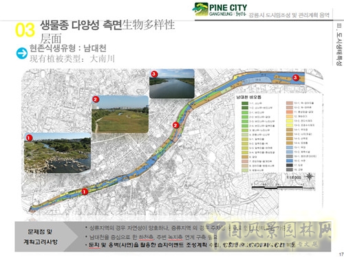 趙泰東：韓國江陵市城市林建設和管理計劃