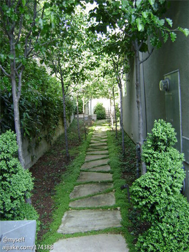 家庭園藝