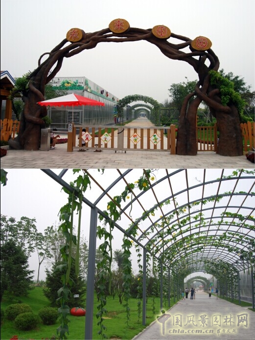 泰安花樣年華 景觀設計 農業生態園