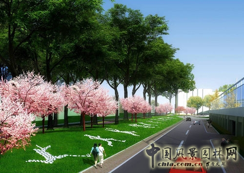 山東大學 景觀設計 環(huán)境設計 景觀方案