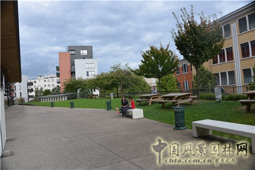 黑奶牛公園
