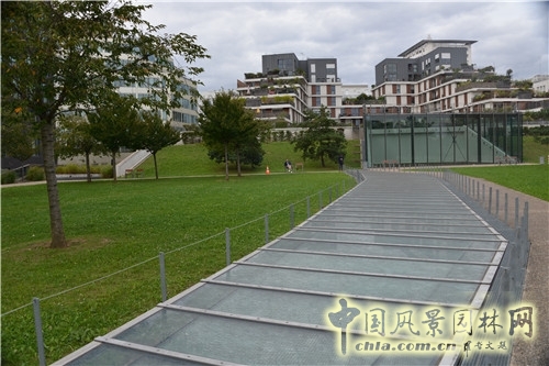 黑奶牛公園