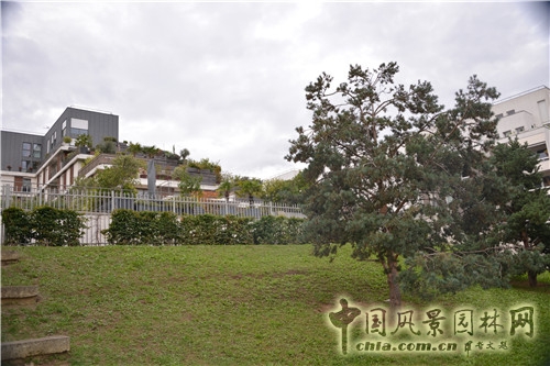 黑奶牛公園