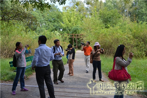 德國(guó)Südgel?nde自然公園 