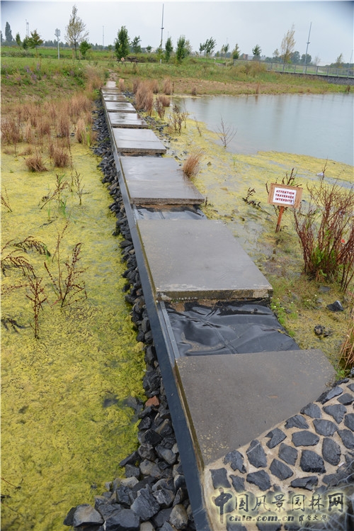島嶼生態公園